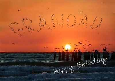 Happy Birthday Birds Grandad