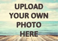 Full Photo No Text Landscape Card - Basic