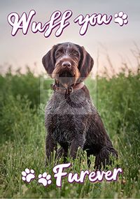Tap to view Wuff You Furever Photo Postcard
