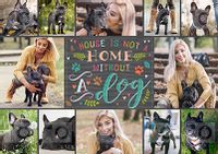 Not A Home Without A Dog Photo Poster