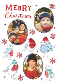 Patterned Robins Photo Christmas Card