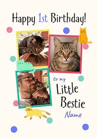 Tap to view Cat's First Birthday Card