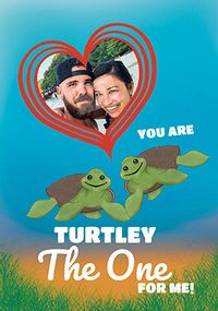 Turtley the One for Me Photo Card