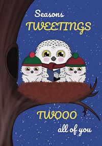 Season's Tweetings Christmas Card
