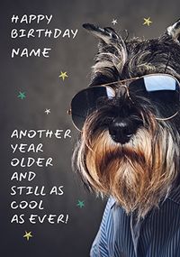 Cool as Ever Dog Personalised Birthday Card