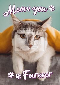 Meow you Furever photo Mother's Day Card