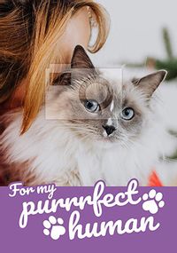 Purrrfect Hooman photo Mother's Day Card
