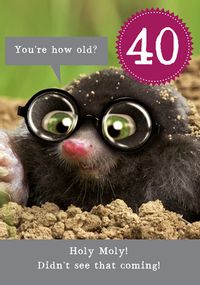 Tap to view 40th Birthday Holy Moly Personalised Card