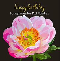 Tap to view Pink Rose Sister Birthday card