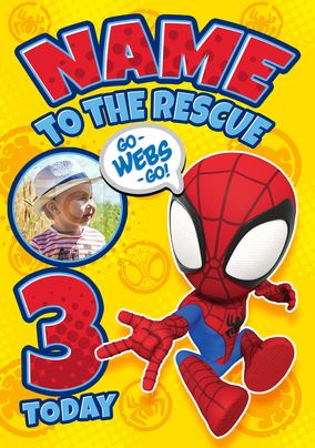 Spidey & Friends - 3rd Birthday Photo Birthday Card