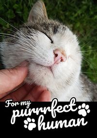 Tap to view Puurfect Photo Valentine Card
