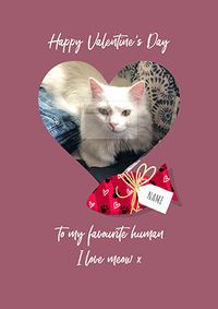 Valentine Card From The Cat