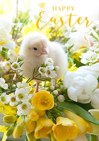 Tap to view Happy Easter Cute Chick Card