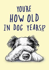 How Old In Dog Years Birthday Card