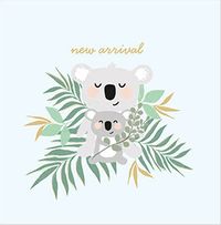 Tap to view Koala New Arrival Card
