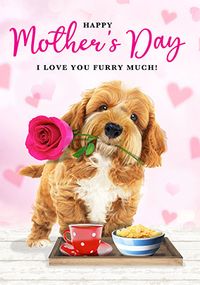 I Love You Furry Much Mother's Day Card