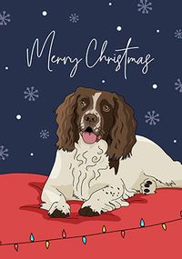 Spaniel Christmas Card