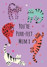 Puur-fect Mum Mothers Day Card