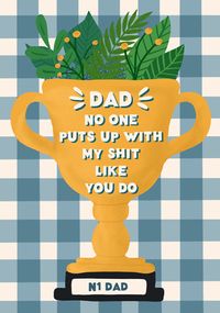 Dad No One Like You Father's Day Card
