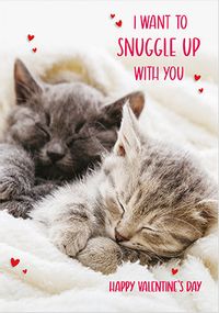 Snuggle Up Cute Valentine's Day Card