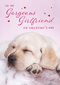 Gorgeous Girlfriend Puppy Valentine's Day Card