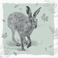 Tap to view Hare Birthday Card