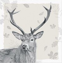 Tap to view Stag Birthday Card