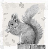 Tap to view Traditional Squirrel Card