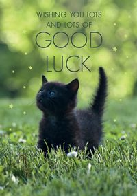Good Luck Kitten Card