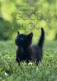 Tap to view Good Luck Kitten Card