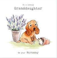 Cute Dog Granddaughter Birthday Card