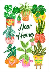 Houseplants In Colourful Pots New Home Card
