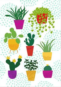 House Plants Card