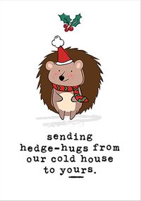 Hedgehug Christmas Card