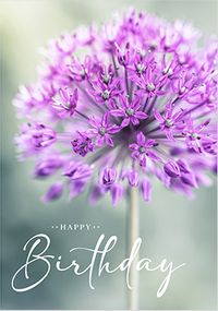 Pretty Purple Flowers Birthday Card
