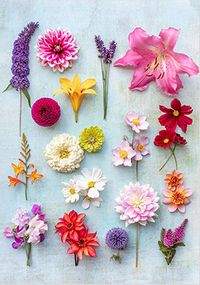 Vibrant Flower Collage Card
