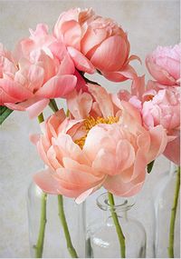 Tap to view Soft Pink Peonies Card