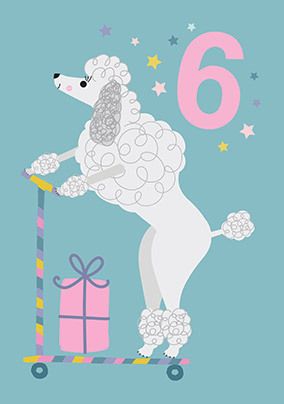 Poodle 6 Today Birthday Card