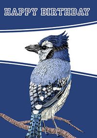 Tap to view Bluejay Birthday Card