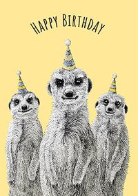 Tap to view Party Meerkats Birthday Card