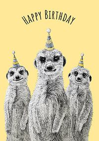 Party Meerkats Birthday Card