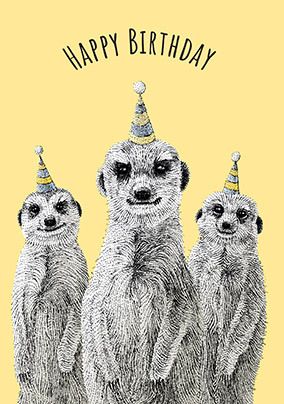 Party Meerkats Birthday Card