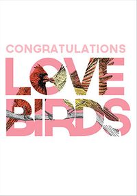 Tap to view Love Birds Congratulations Card