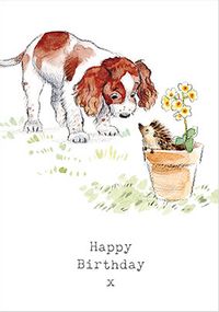 Curious Puppy Birthday Card