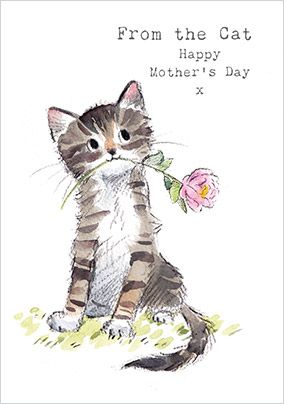 From the Cat Cute Mother's Day Card