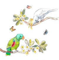 Tap to view Parrot and Cockatoo Card