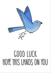 Hope This Lands On You Good Luck Card
