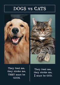 Tap to view Dogs Vs Cats Birthday Card