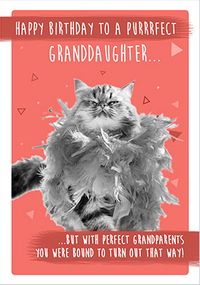 Tap to view Puurfect Granddaughter Birthday Card