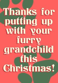 Tap to view Furry Grandchild Christmas Card